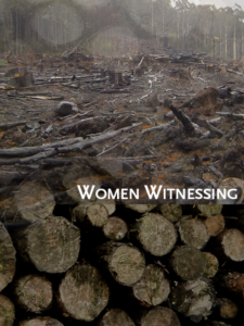 Image from Dark Matter: Women Witnessing featuring the text "Women Witnessing" in white against an image of stones beneath water.