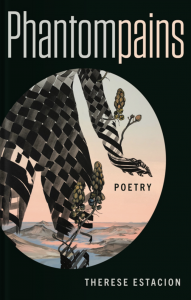 Cover of Phantompains by Theresa Estacion featuring a human figure's hips and arm in a dark woven texture against a pink landscape.