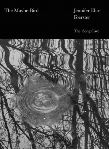 The Maybe-Bird by Jennifer Elise Foerster featuring a black-and-white photograph of ripples on a pond reflecting tree branches.