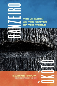 Cover of Banzeiro Òkòtó: The Amazon as the Center of the World by Eliane Brum, featuring a photograph of a split in the side of a tree on a blue and orange background.