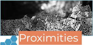 Banner image of The Seventh Wave June 2023 issue, featuring a dried section of leaf with the text "Proximities" in white against an orange rectangle.