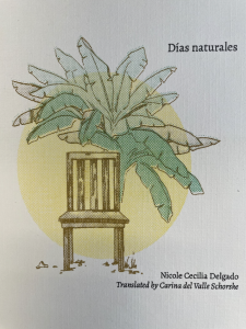 Cover of Días naturales by Nicole Cecilia Delgado , featuring a drawing of a chair and a large plant against a yellow circle.