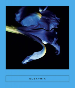 Cover of Elektrik: Caribbean Writing, featuring a square photograph of an iris against a bright blue background.