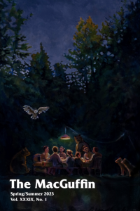 Cover of The MacGuffin, featuring an image of people gathered under a light in the forest at night.