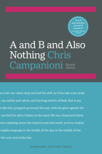 Cover of A And B and Also Nothing by Chris Campanioni featuring the top half of the book in a gray color with the title surrounded by hot pink lines; the bottom half of the cover is blue with a white quote.