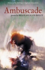 Ambuscade by Brian Ascalon Roley featuring a blurry photograph of a chicken.
