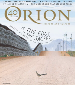 At the Edge of the Sacred: Finding Wilderness Within Walls and Borders by Orion Magazine featuring colorful artwork of a tiny bird standing on an large empty road staring at a wired border wall.