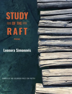 Study of the Raft by Leonora Simonovis featuring a cover split down the middle, the left half a turquoise sea, the right side the wooden boards of a plank.
