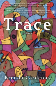 Trace by Brenda Cárdenas featuring a colorful pattern of abstract art in the background