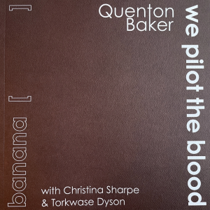 banana [ ] / we pilot the blood by Paul Hlava Ceballos and Quenton Baker featuring a brown textured cover with the title and author’s names surrounding the edges vertically and horizontally.