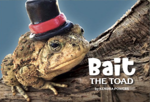 Bait the Toad by Kendra Powers featuring a photograph of a toad in a hat.