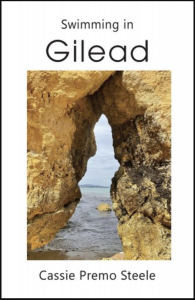 Swimming in Gilead by Cassie Premo Steele, featuring a photograph of a rocky crevice over a beach. 