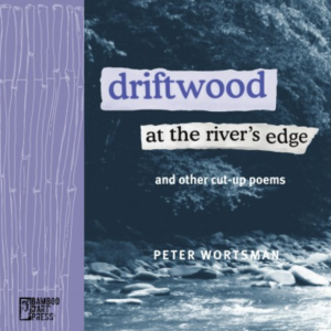 Driftwood at the River’s Edge by Peter Wortsman featuring a blue and white photograph of a rocky shore against a forest. 