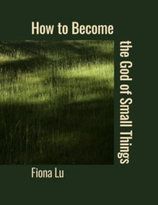 How to Become the God of Small Things by Fiona Lu featuring a photograph of green grass surrounded by a dark green border. 