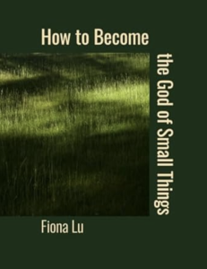 Cover of How To Become the God of Small Things by Fiona Lu, featuring a photo of a sunlit green lawn on a dark green background. 