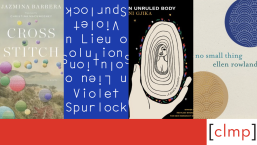 Featured Image with covers of Cross Stitch, In Lieu of Solutions, the Unruled Body, and no small thing.