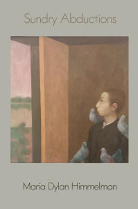 Sundry Abductions by Maria Dylan Himmelman featuring artwork of a young boy staring out the window with a cluster of pigeons sitting on him.