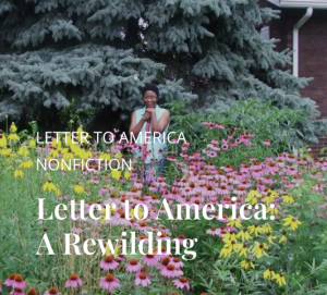 Terrain.org November 2023 featuring a photograph of a Black woman standing in a garden. 