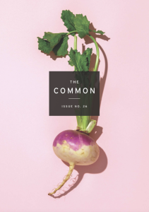 The Common, Issue 26 featuring a photograph of a single turnip against a pink background. 