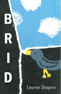 Cover of BRID featuring a childlike drawing of a bird against a blue sky.