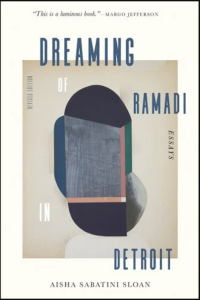 Cover of Dreaming of Ramadi in Detroit featuring an abstract illustration of a window.
