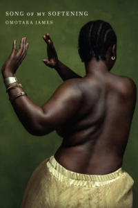 Cover of Song of My Softening featuring a topless Black woman in a gold skirt pictured from behind.