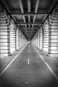 Cover image for L'Esprit Literary Review's May 2024 issue, featuring a covered bike path with columns on either side, a lone biker riding away.