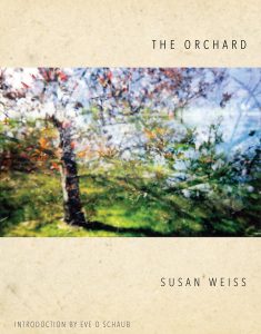 Cover of The Orchard by Susan Weiss featuring a blurry photograph of red flowers blooming on tree branches with a body of water in the background creating lens flares.