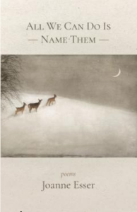 Cover of All We Can Do Is Name Them by Joanne Esser featuring an illustration of three small brown deer walking across a snowy landscape with the night sky above them.