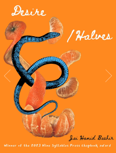 Cover of Desire/Halves by Jai Hamid Bashir, featuring white cursive text on an orange background and an illustration of a blue snake interwoven with a photograph of a peeled orange.