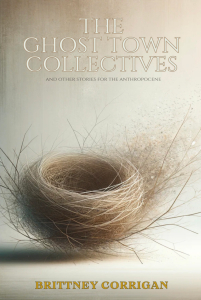 Cover of The Ghost Town Collectives by Brittney Corrigan, featuring an illustration of a bird’s nest with a flock of small birds in the distance on a white background. 