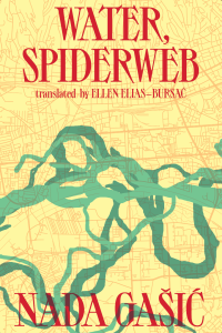 Cover of Water, Spiderweb by Nada Gašić featuring red text over a yellow unlabeled map and twisting green branches.